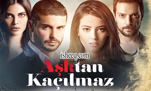 مسلسل لا مفر من الحب