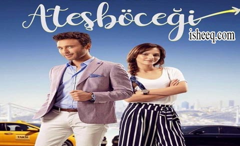 مسلسل سراج الليل