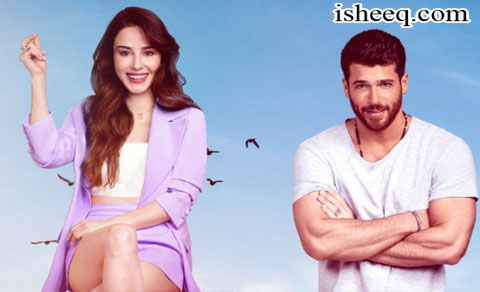 مسلسل السيد الخطأ