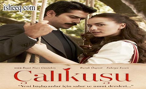 مسلسل طائر النمنمة