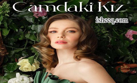 مسلسل فتاة النافذة