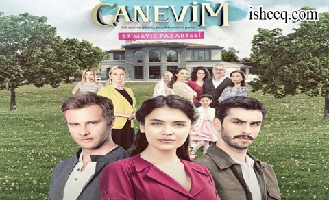 مسلسل قلبي