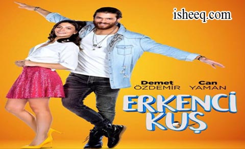 مسلسل طائر الصباح