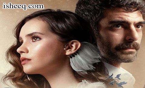 مسلسل الحمامة