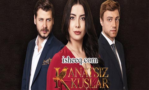 مسلسل طيور بلا اجنحة الحلقة 40