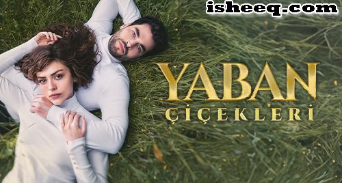 مسلسل الازهار البرية